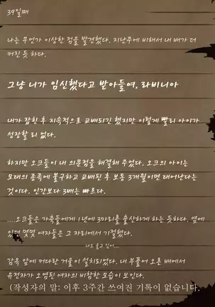 Sage Lavinia's Last Note ~ In the ruin of orc fort ~