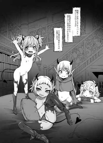 Isekai Kyaradin ni Okeru Succubus no Seitai