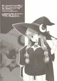 (C84) [MeltdoWN COmet (Yukiu Con)] moon marguerite (Touhou Project)