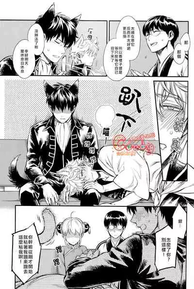 (HaruCC19) [3745HOUSE (MIkami Takeru)] Like cat and dog (Gintama) [Chinese] [糖分漢化組]