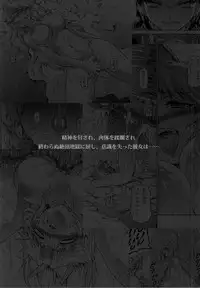 no_text To translator (C86) [Yokohama Junky (Makari Tohru)] Solo Hunter no Seitai 4 The third part (Monster Hunter)