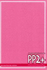 (C75)[Yakan Hikou (Inoue Tommy)] PP2+ (Fate)