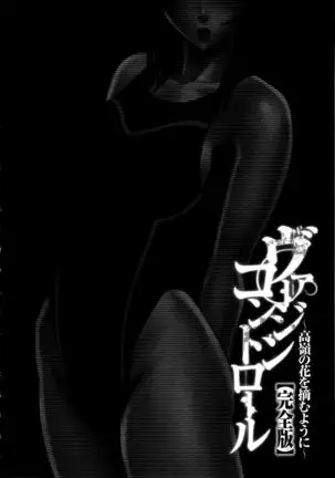 Virgin Control ~Takane no Hana o Tsumu you ni~