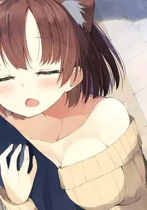 Ore no Kanojo ni wa Nekomimi ga Haeteiru