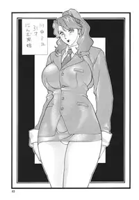 (C63) [Rippadou (Various)] Minisukadon Okawari