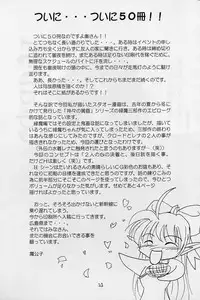 (CR31) [RED RIBBON REVENGER (Makoushi)] Elf's Ear Book 12 - Kurenai RED (Various)