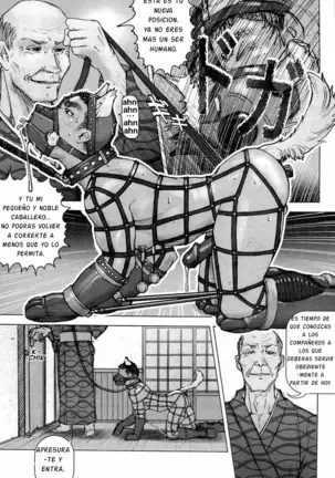 Kai Makoto Training Dog