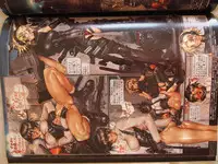 masamune shirow w tails cat 1