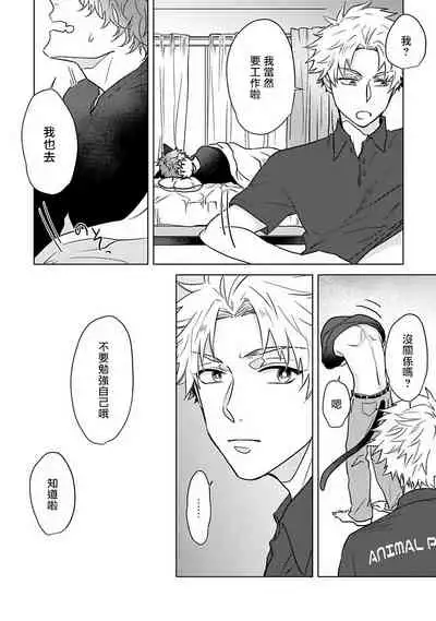 Fukurou no Koiwazurai | 猫头鹰的相思病 Ch. 1-5