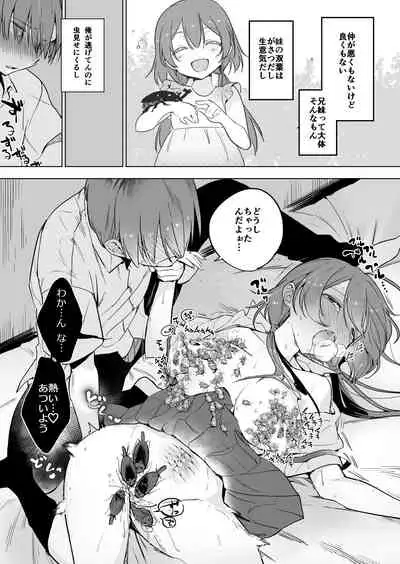 [Haechaimu (smomo)]ゴキ双子