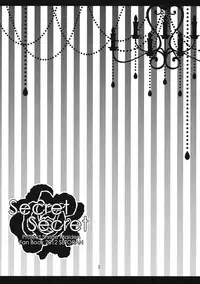 (C82) [Setoran (Itoupeko, Tannopoko)] Secret Secret (Touhou Project)