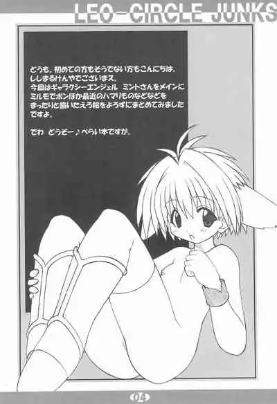 LEO-CIRCLE JUNKS