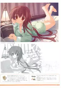 Bra-Ban Visual Fanbook