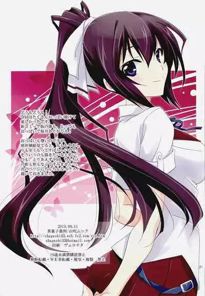 Burst Up! Infinite Stratos FAN BOOK