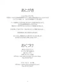 (Yakumo Safari Park 4) [Rakka Sokudo 2.5 (Pira)] Yappari Neko nano. 2 (Touhou Project)