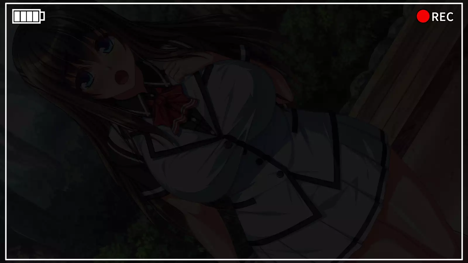 Kanzen ni Goui no AV Shima!