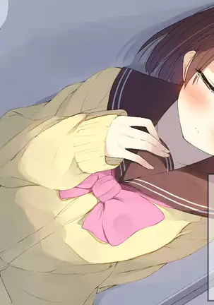 Ore no Kanojo ni wa Nekomimi ga Haeteiru