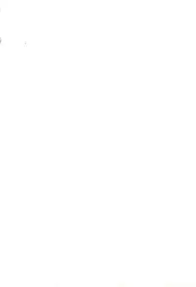 Twintail na Onnanoko Hon 4.5.6 Tsumechaimashita.