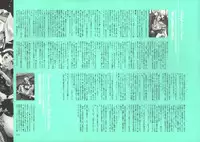 [Nishieda] Dendrobium