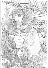 (C80) [PHYSALIS (Seresu)] Physalis no Usui Hon (Mahou Shoujo Lyrical Nanoha)