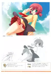 Bra-Ban Visual Fanbook