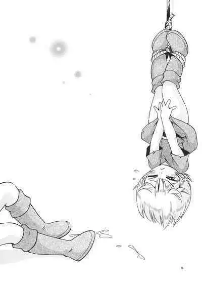 Toraware Hime Soushuuhen