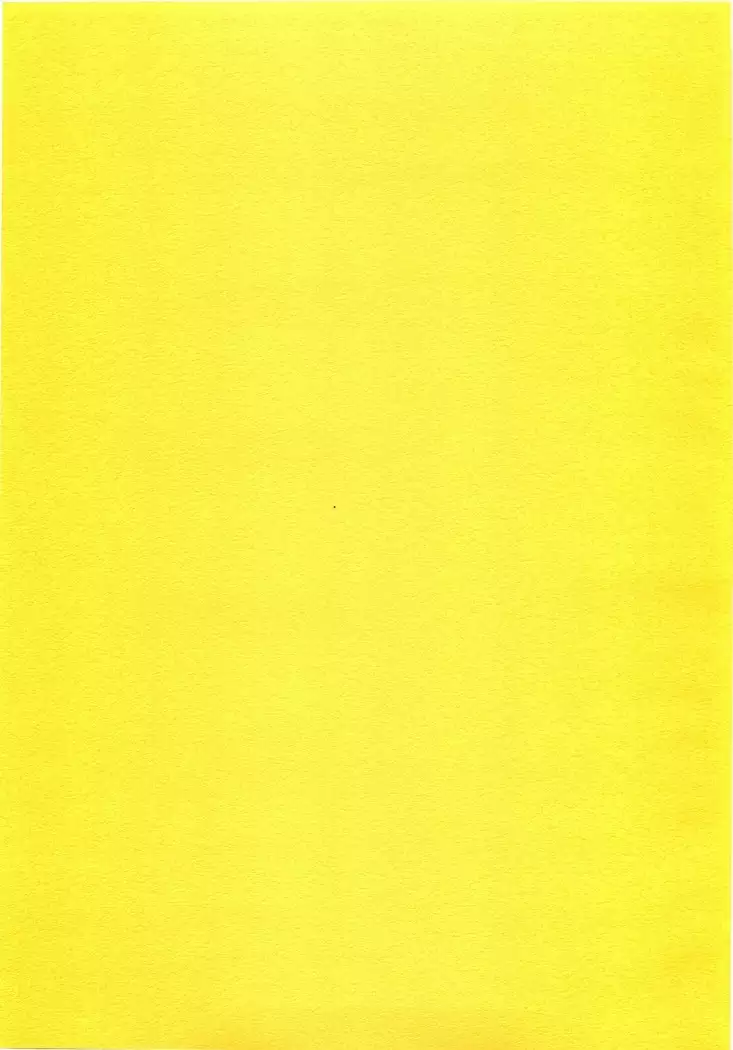 Yamahime no Mi – Fumiko