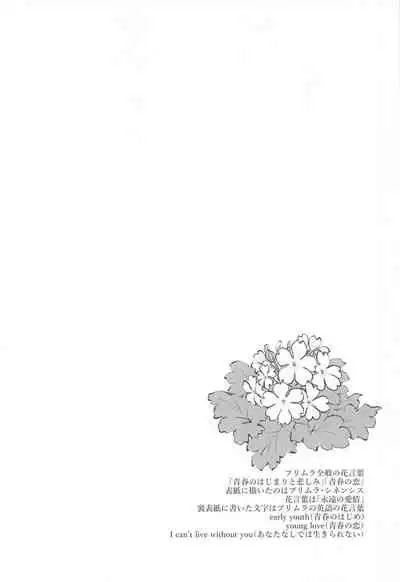 プリムラにささぐ