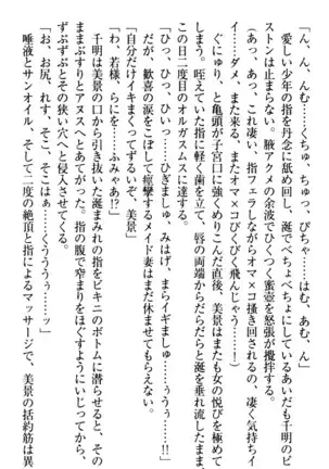 年上メイドの新婚日記