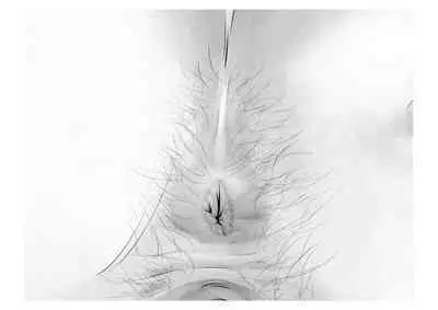 Kousai Bare, Koubu Zaseki de Netorare Choukyou