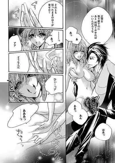 鬼畜兄弟の悶絶調教～私はいいなり奴隷～