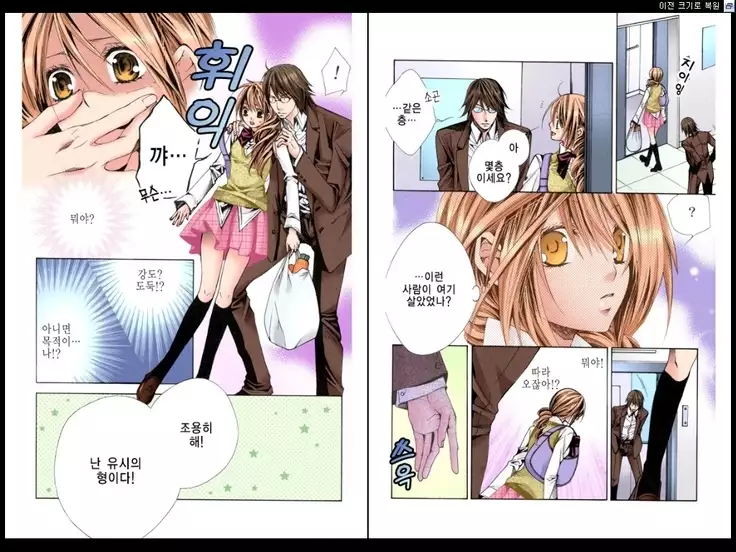 Naisho no Love Mariage | 비밀의 결혼