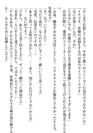 年上メイドの新婚日記