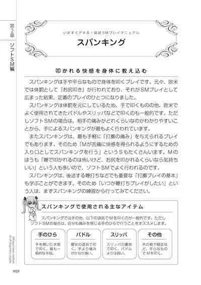 いますぐデキる 図説SMプレイマニュアル