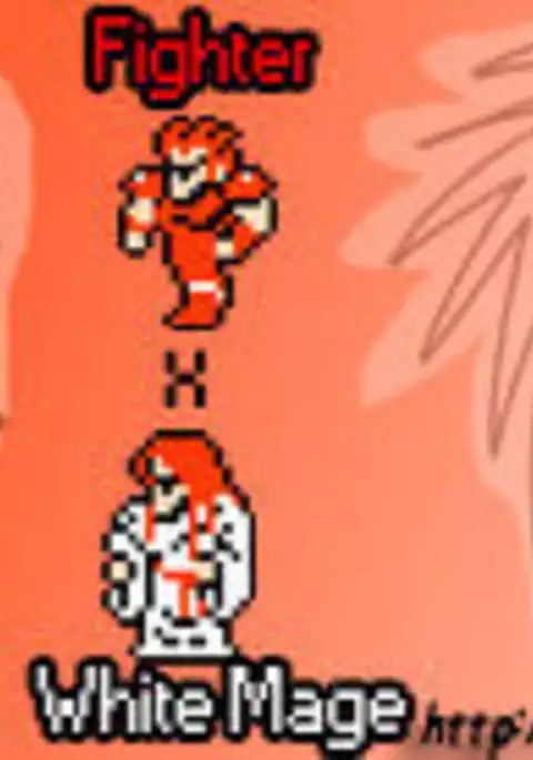Fighter x White Mage