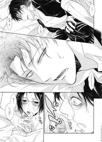 (C86) [RIX (Mamiya)] Kizutsui ta yoru ni (Shingeki no Kyojin)