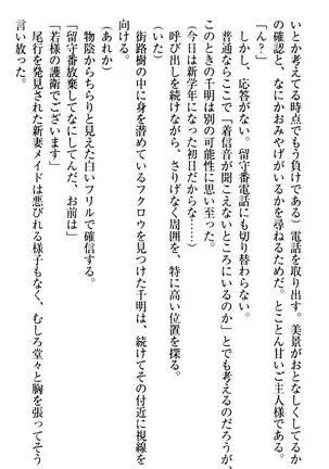 年上メイドの新婚日記