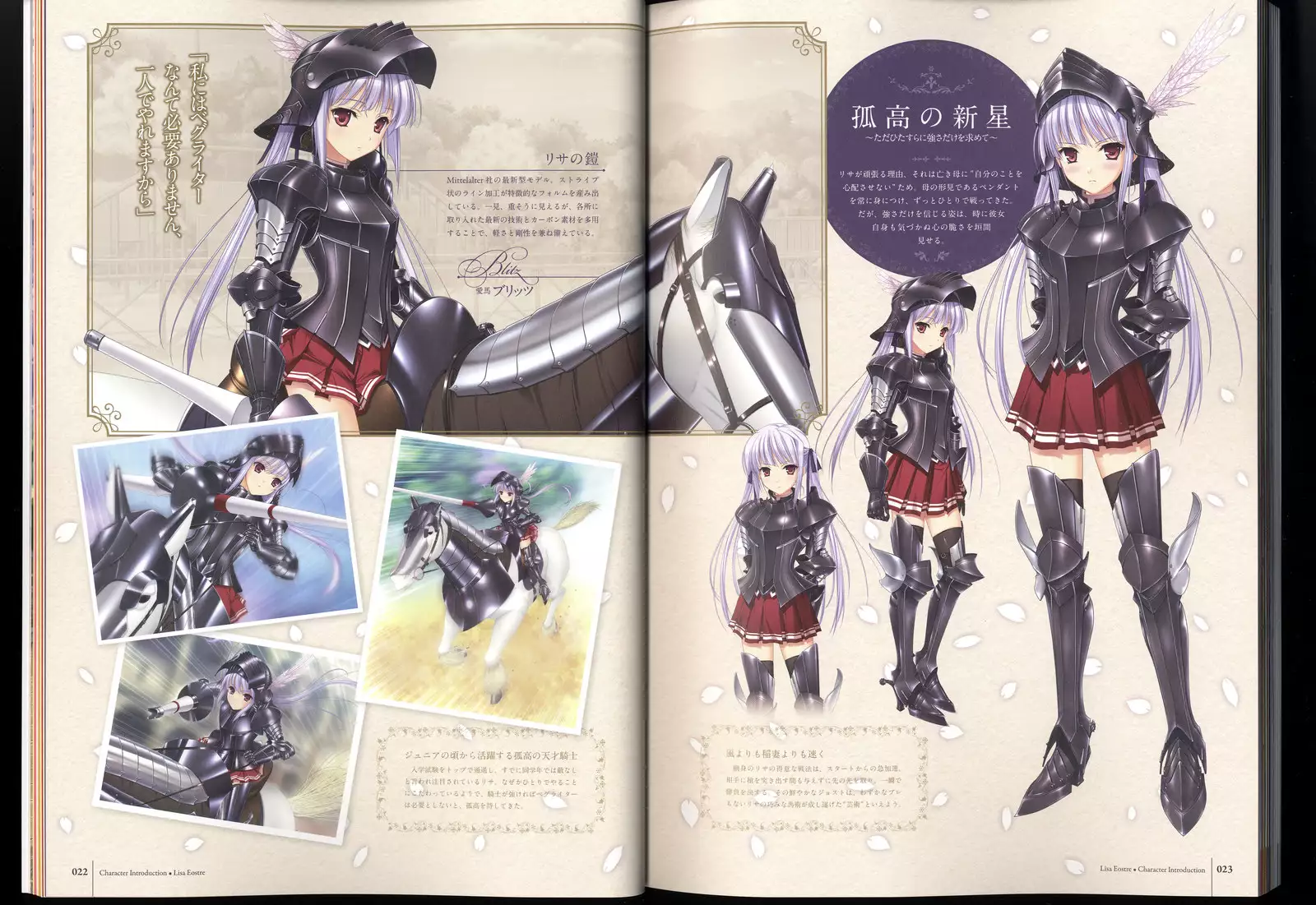 Walkure Romanze Visual Fanbook