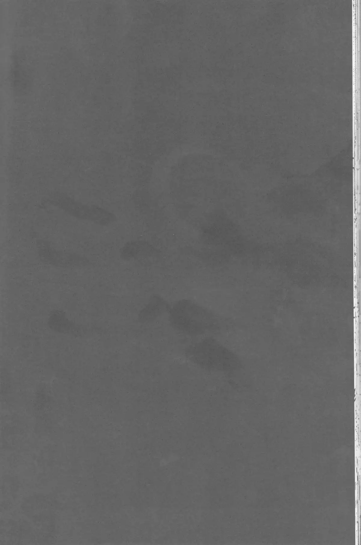 SasoDei ♀ Sairokubon