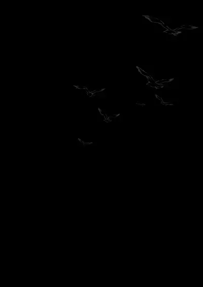 Yuukyuu no Shou Elf 2 "Shoukei" | The Everlasting Elf II - Adoration