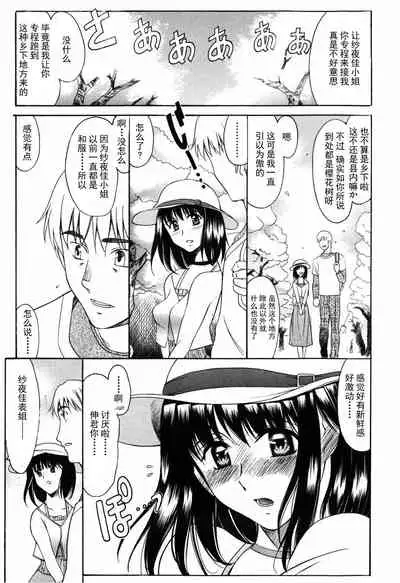 Shiawase no Katachi | 幸福的方式