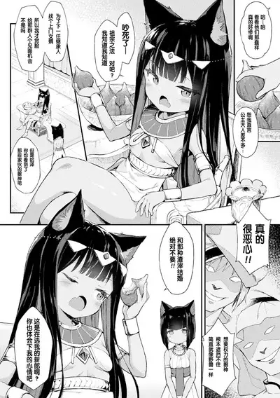 Nekohime Seisai Amira