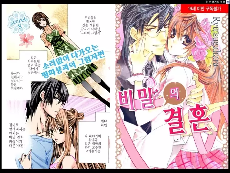 Naisho no Love Mariage | 비밀의 결혼