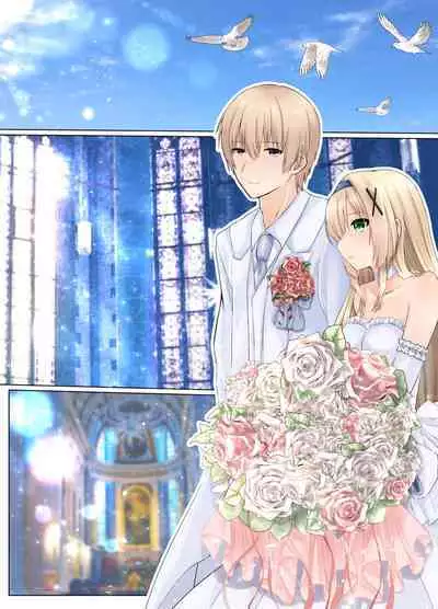 淡入·淫魔 ―遭到淫魔夺舍玩弄的公主骑士故事―