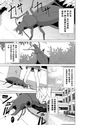 Sasara no Mushiasobi （Chinese translation）