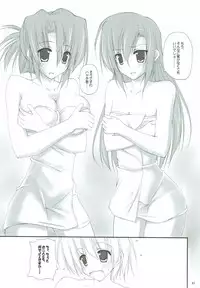 (C82) [r.i.s factory (Ruschuto)] r.i.s archive 1 (Hayate no Gotoku!)