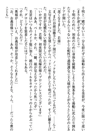 年上メイドの新婚日記