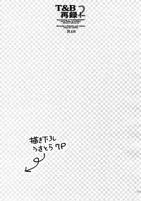 (C88) [Isshou ni Ichido! (Mokkori)] T&B Sairoku! 2 (TIGER & BUNNY)