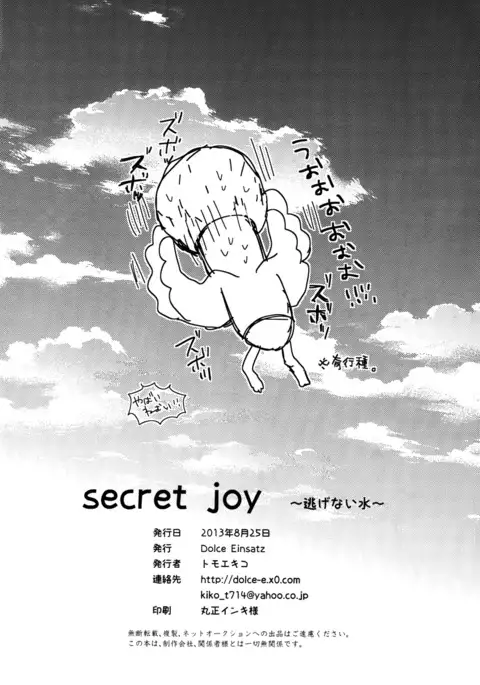 Secret Joy