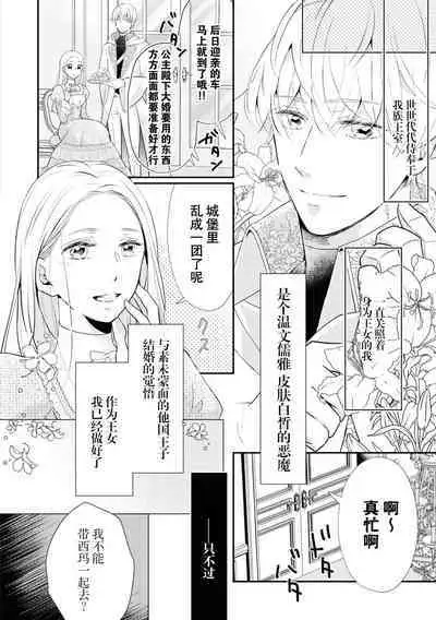 Tsukai ma wa hime dake o nemurasenai | 使魔不让公主入睡